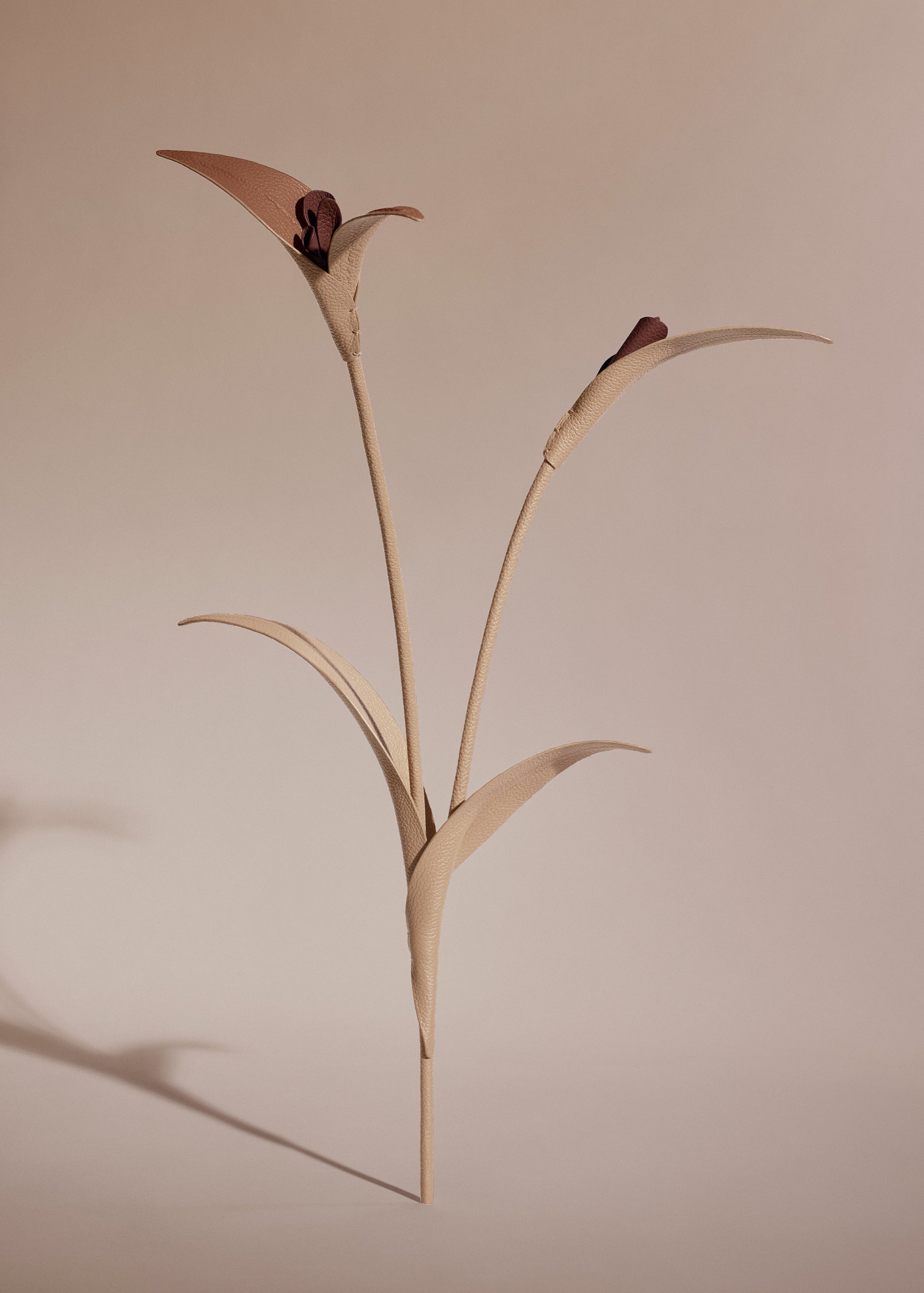 Touka Flower - Trio Beige