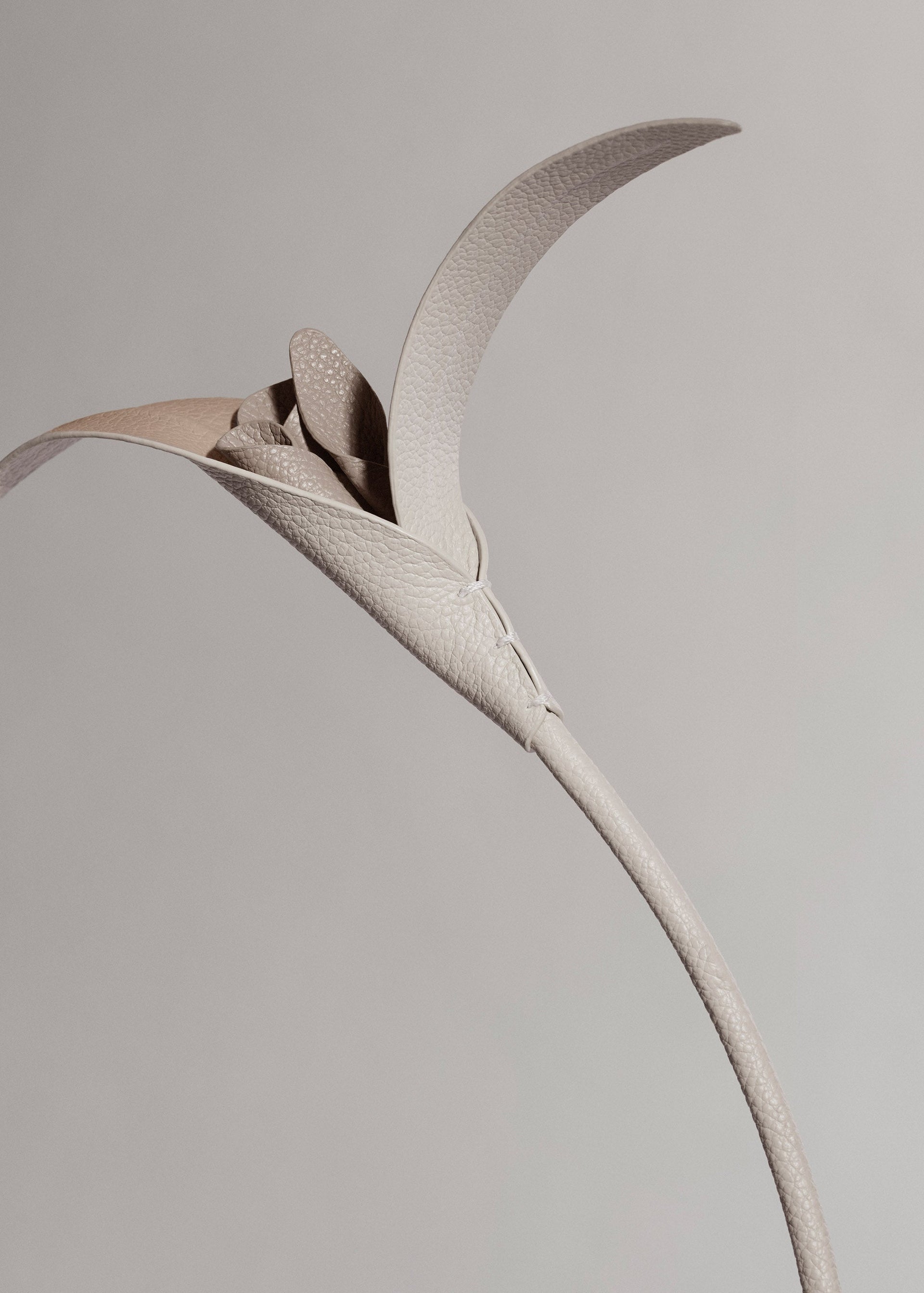 Touka Flower - Chalk