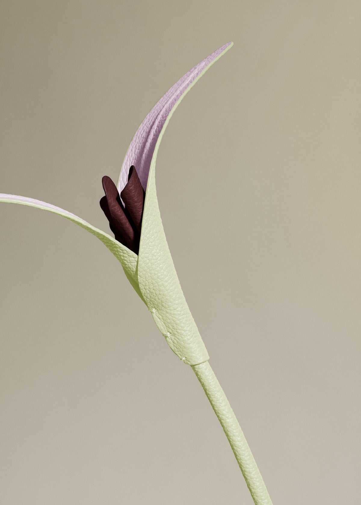 Touka Flower - Aloe