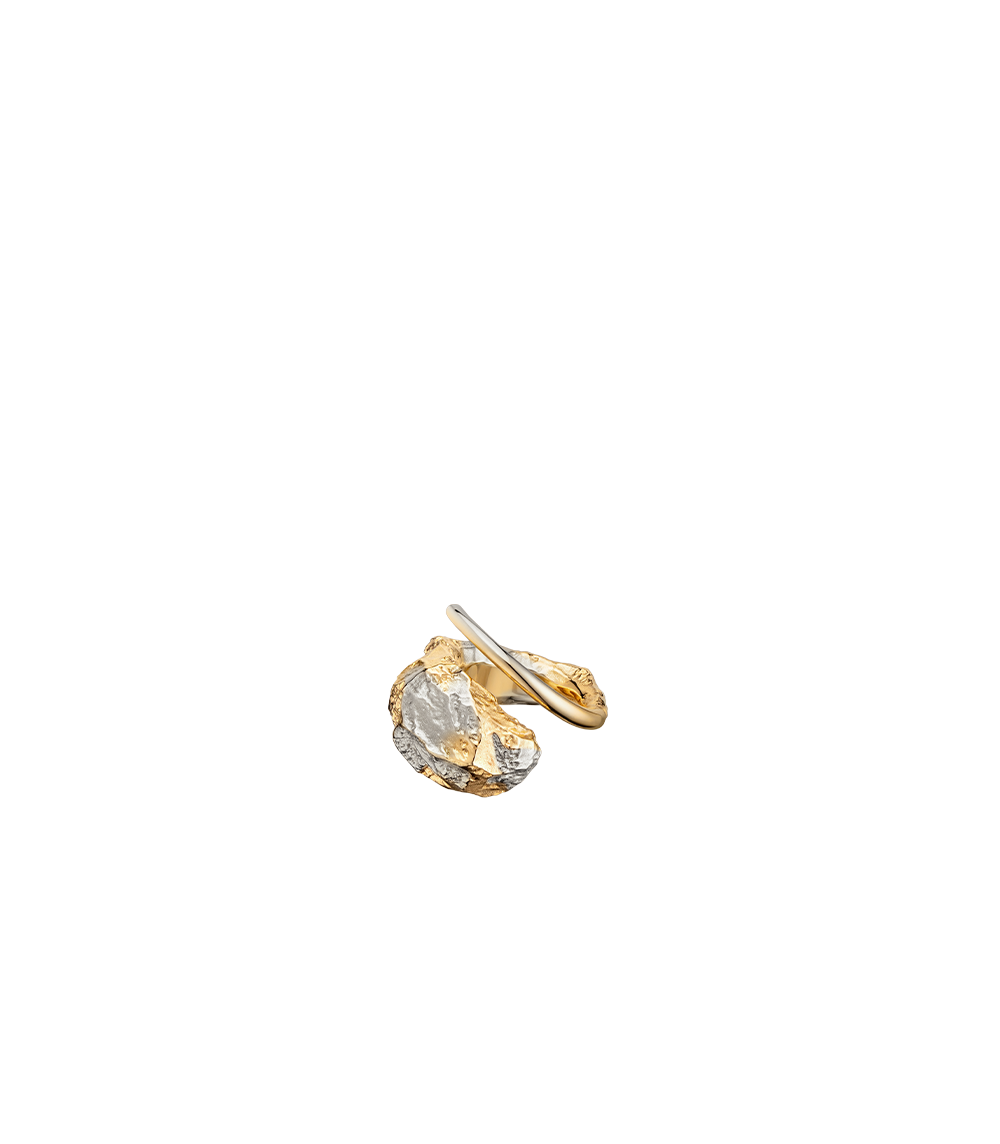 Eroz Ring - Duo palladium with 24 carat gold plating