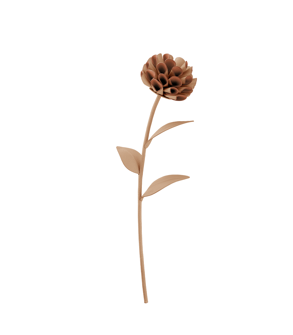 Dalium Flower - Duo Beige