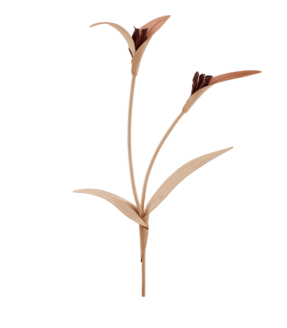 Touka Flower - Trio Beige